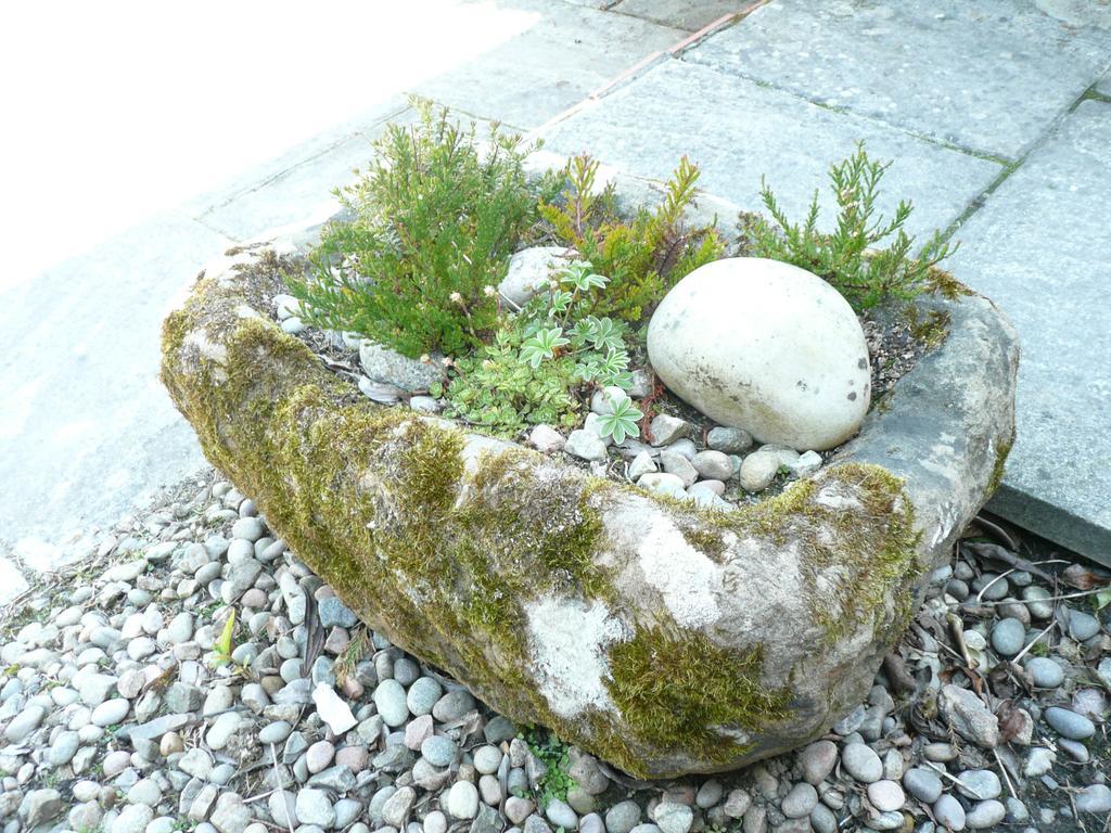 Carden Holiday Cottages - Elgin Crook of Alves Extérieur photo